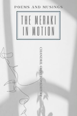The Meraki In Motion